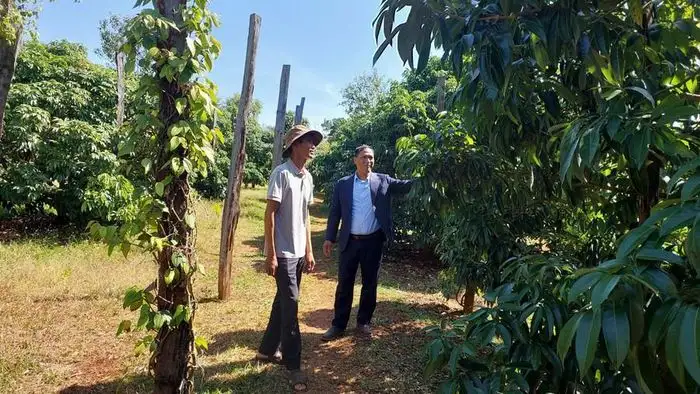 Ia Le: Hướng đến xây dựng nông thôn mới bền vững