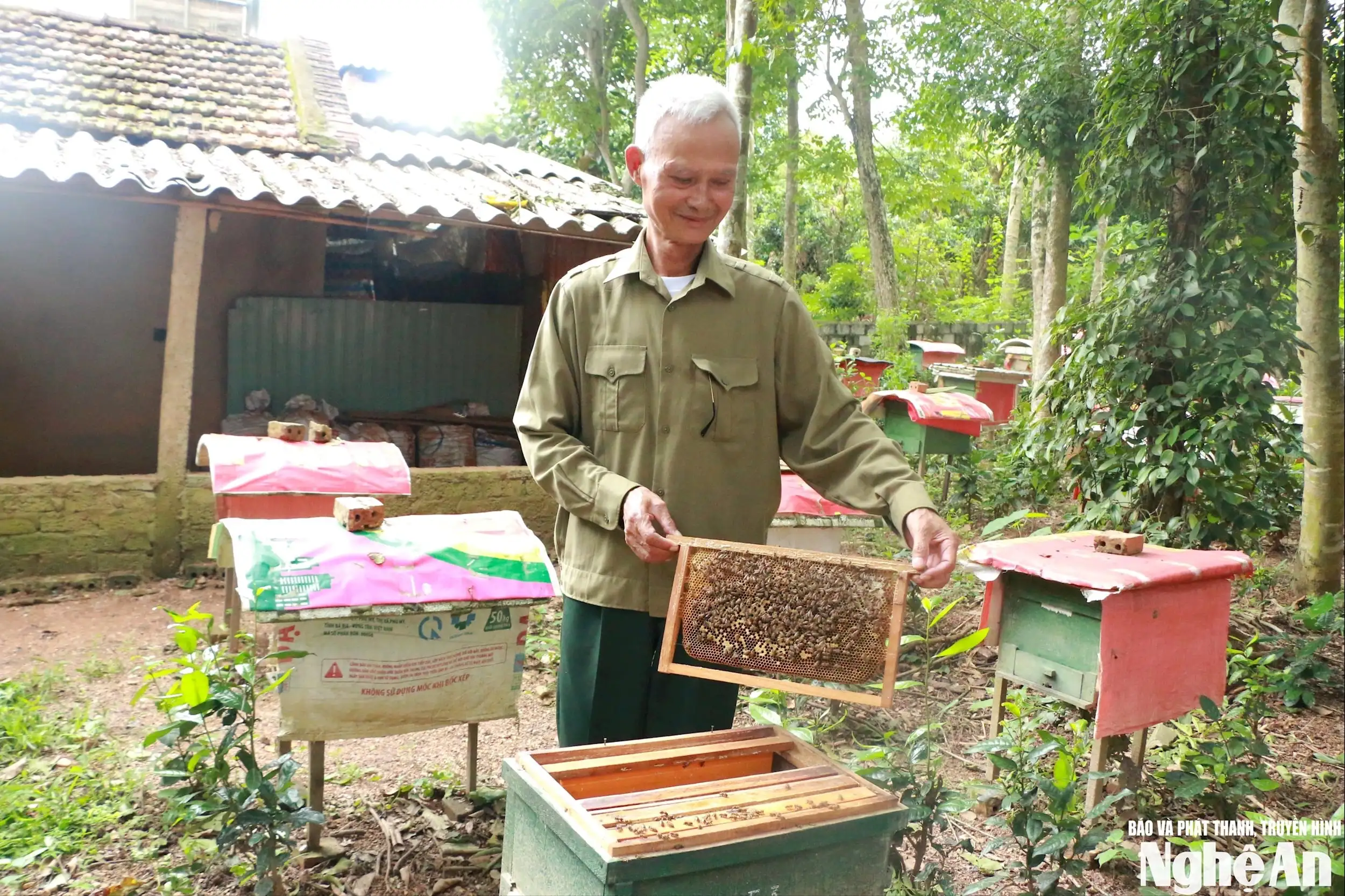 Khai thác lợi thế bản địa, phát huy giá trị từ sản phẩm OCOP ở Nghệ An