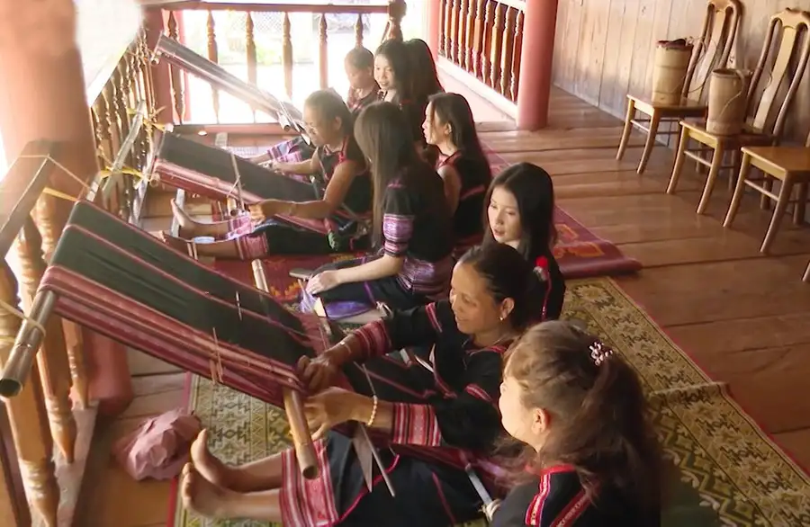 Khi hạt cà phê mở lối du lịch canh nông ở Ia Phí