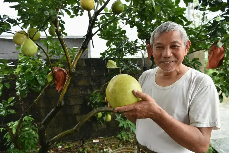 Khi nông sản trở thành cầu nối gắn kết gia đình