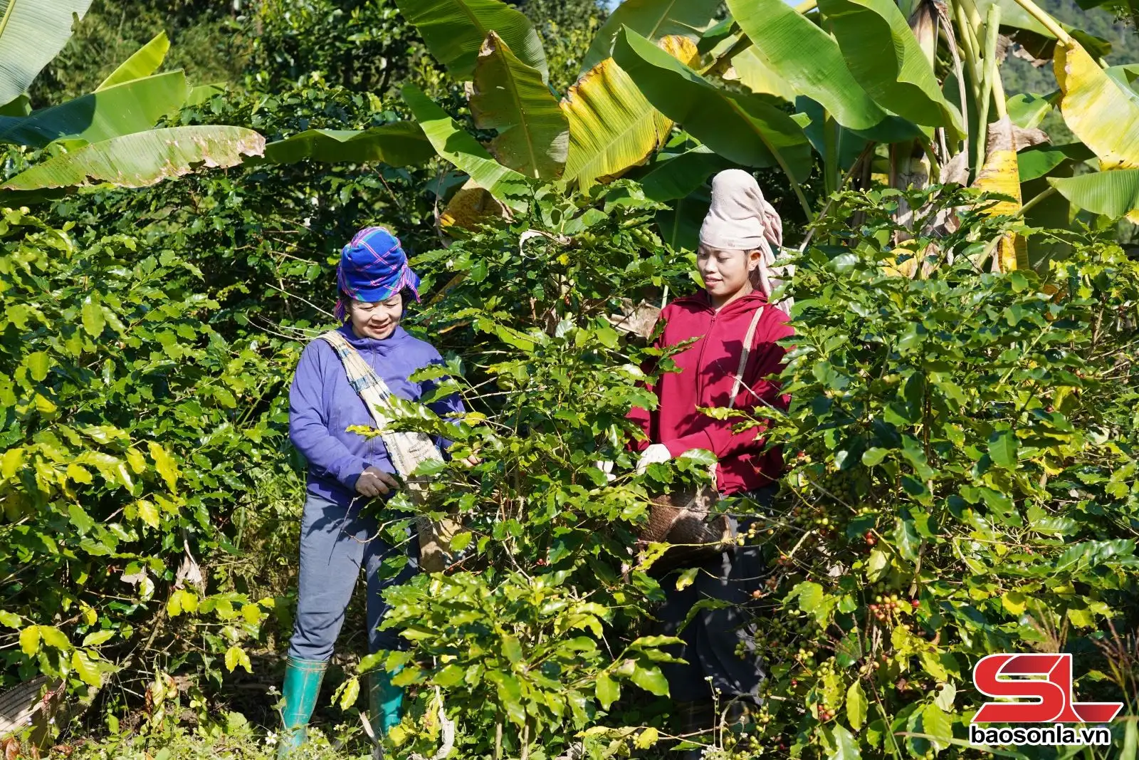 Làm giàu từ khai thác lợi thế