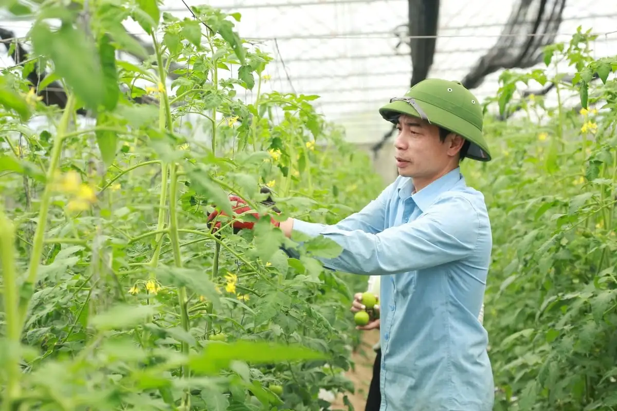 Lào Cai xây dựng 7 nhóm sản phẩm trồng trọt phát thải thấp