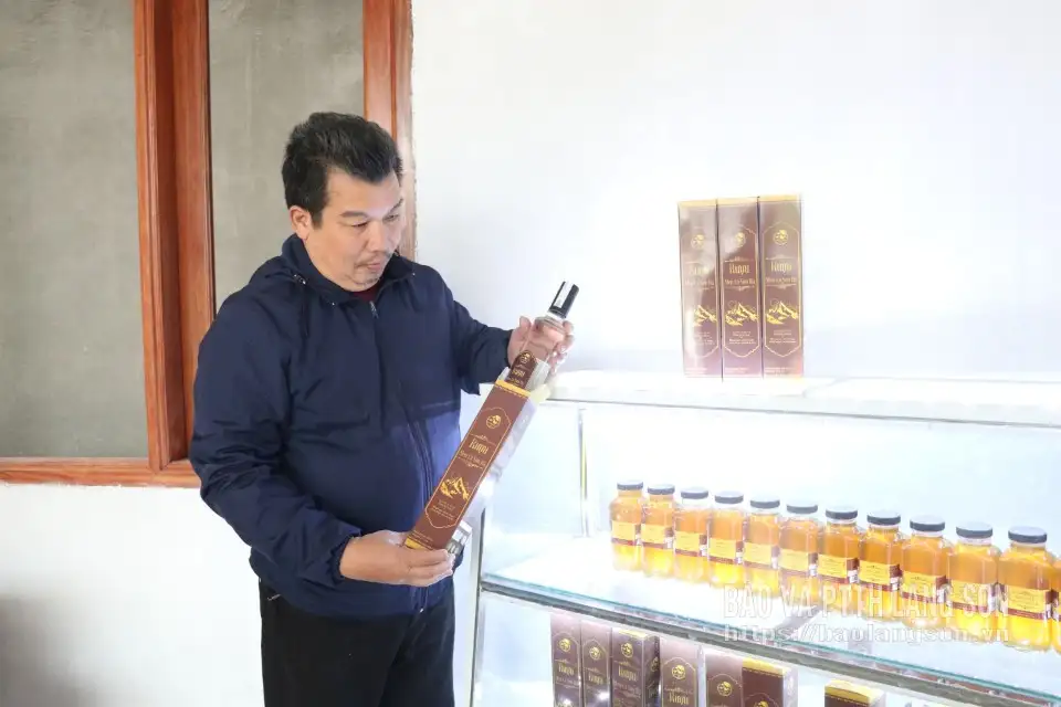 Liên kết để phát triển