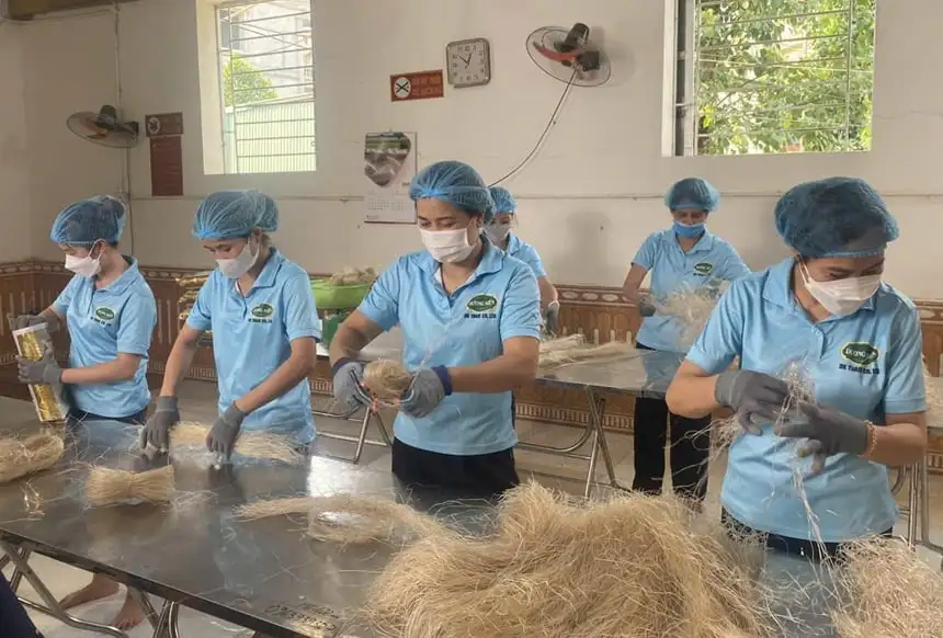 Miến dong làng So đạt OCOP 5 sao, xuất khẩu nhờ làm sạch từ ruộng phơi