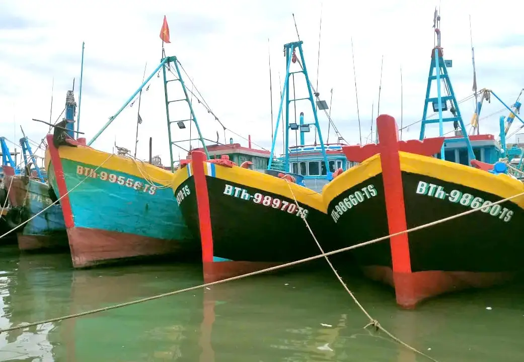 Minh bạch nguồn gốc thủy sản bằng công nghệ số