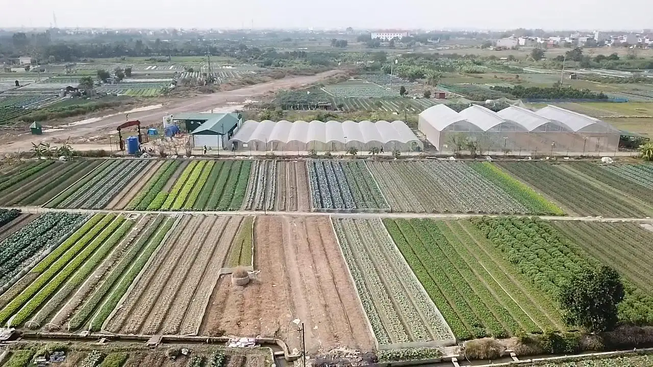 Mô hình Làng Nông thôn mới: Chuyển đổi để giúp nông dân nhiều hơn!