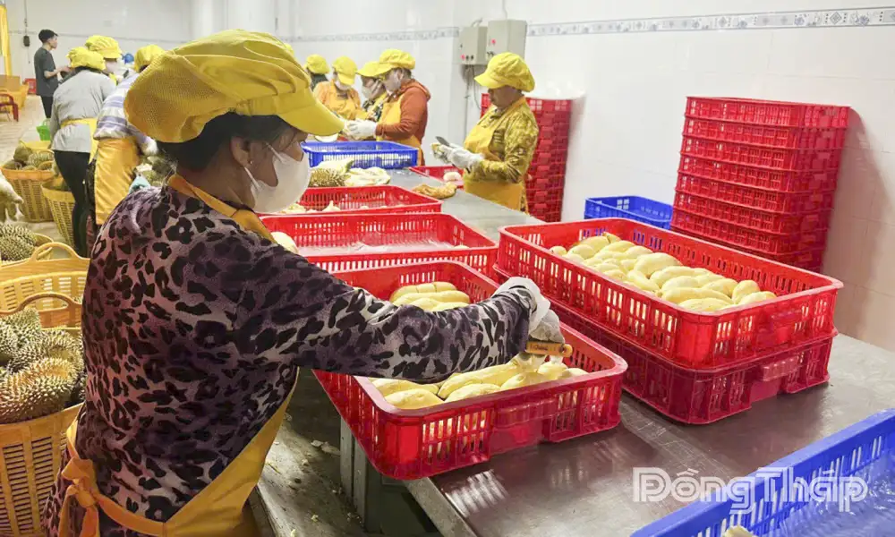 Mở rộng kênh tiêu thụ – nâng tầm giá trị nông sản