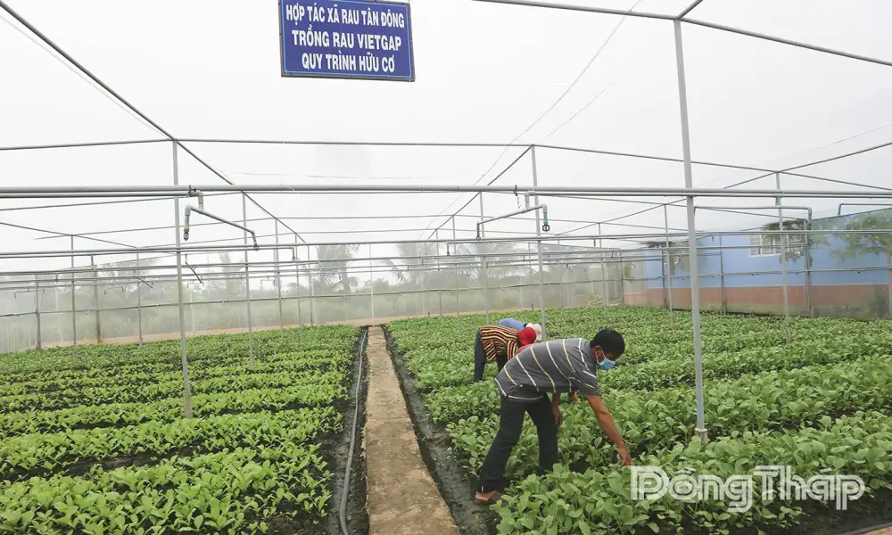 Mở rộng kênh tiêu thụ – nâng tầm giá trị nông sản