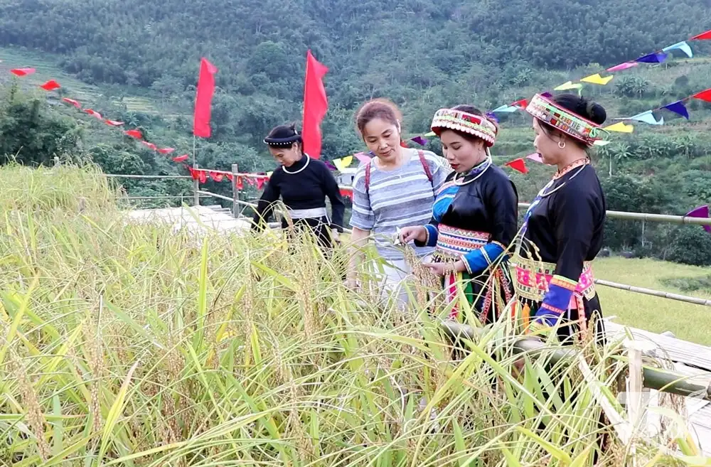 Một HTX ở Thái Nguyên bắt tay liên kết, hình thành ‘hệ sinh thái’ bạc tỷ