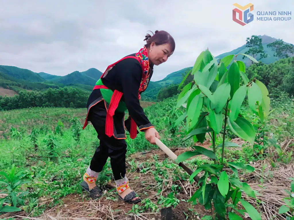 Nâng cao chất lượng sống ở những địa bàn khó khăn