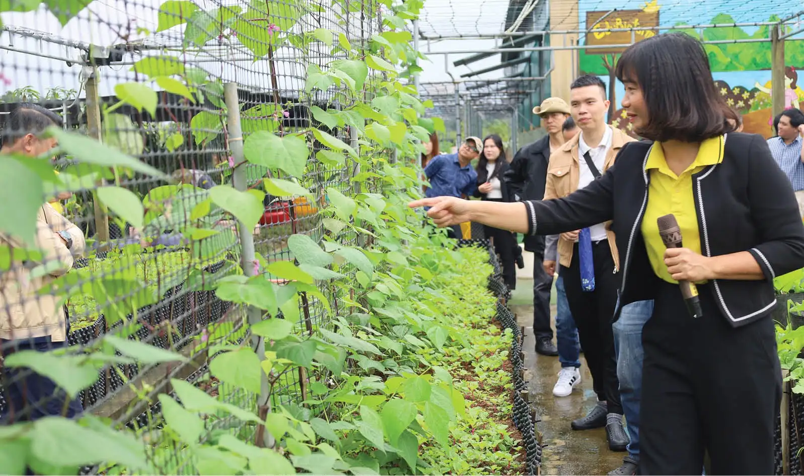 Nâng chất lượng và tính bền vững cho du lịch nông thôn