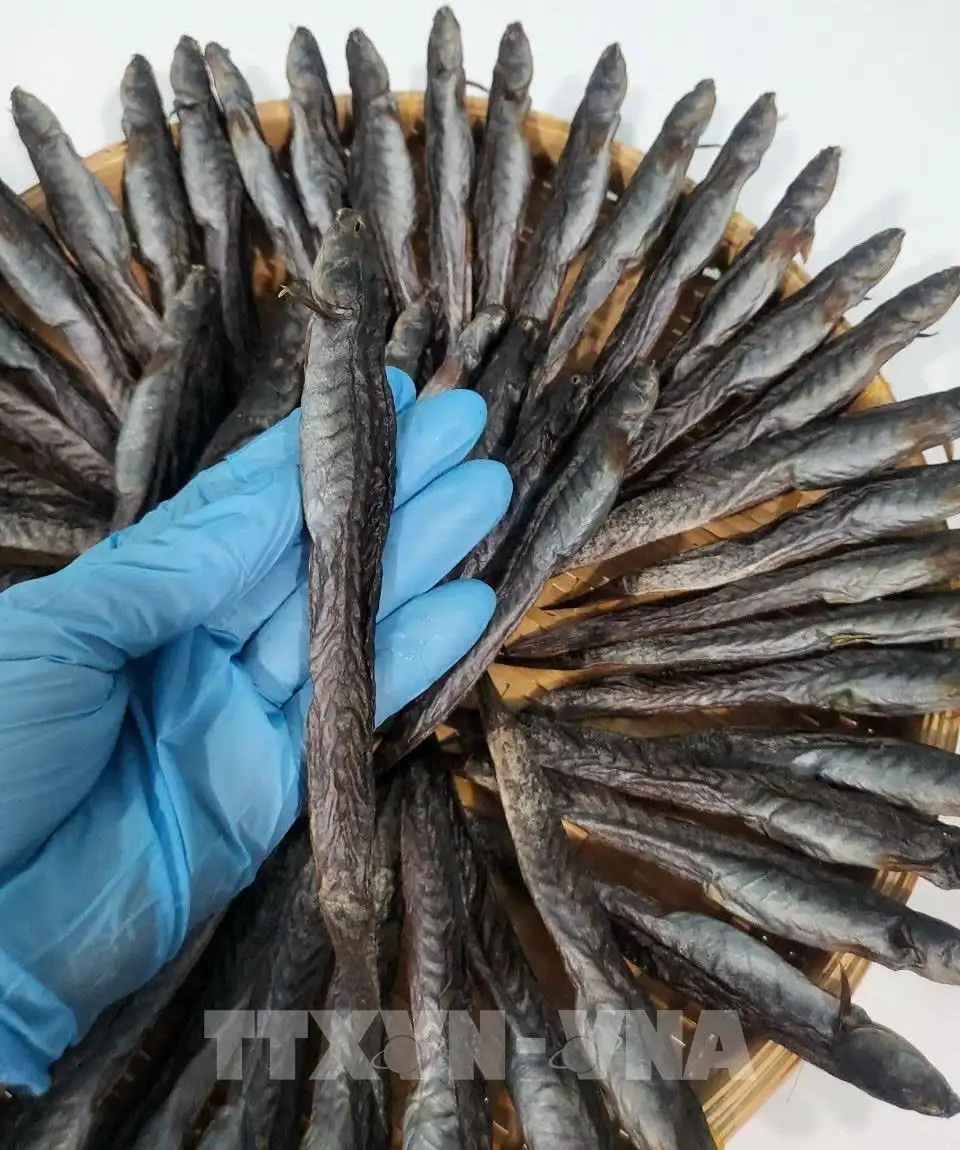 Nâng hạng OCOP Cà Mau: Đặc sản bản địa vươn thị trường lớn