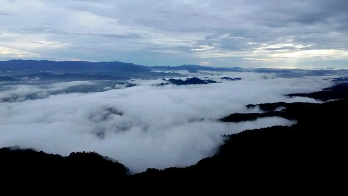 Nghệ An đặt nền móng cho chiến lược bảo tồn nguồn gen