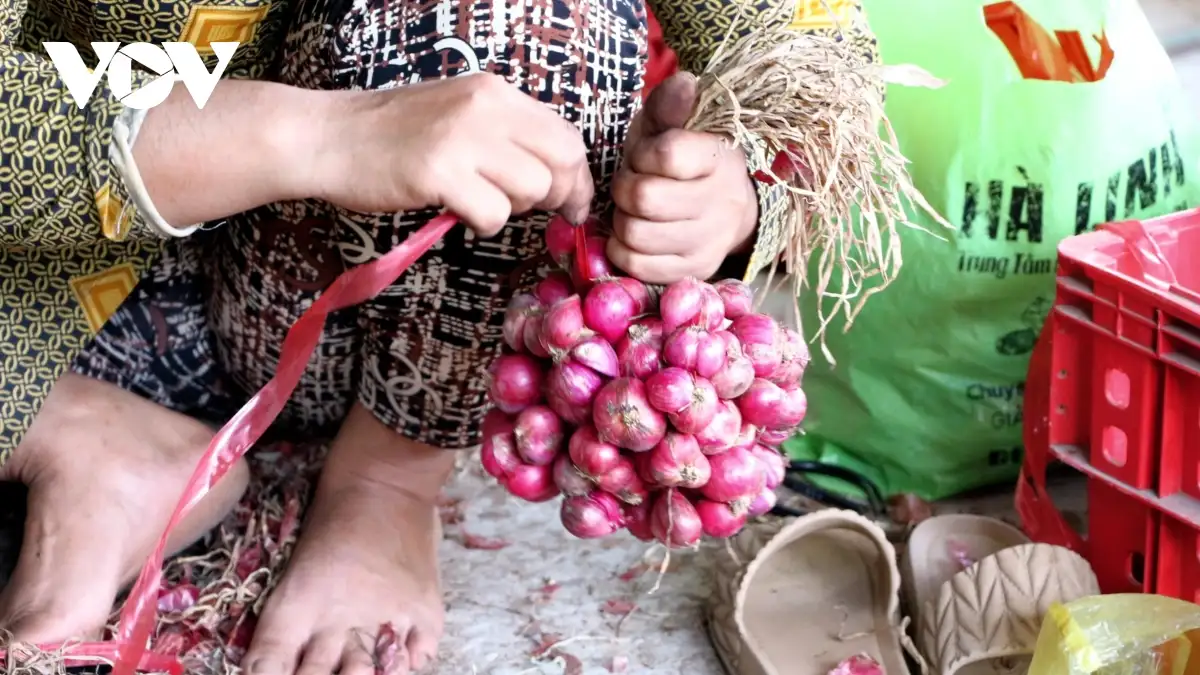 Nghề gia công củ hành tím, sinh kế cho lao động địa phương ở Cần Thơ