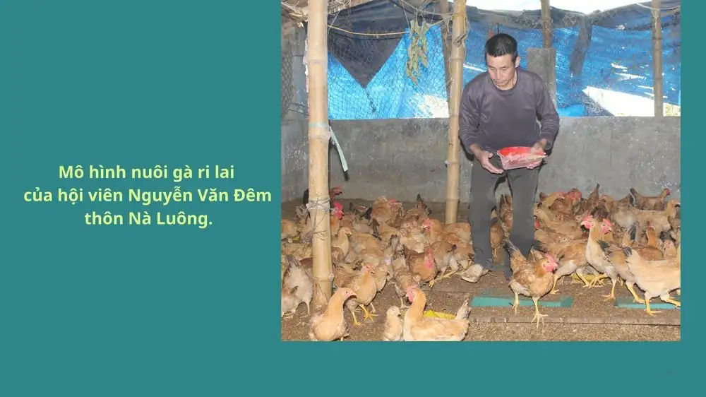 Nghĩa Đô: Khích lệ nông dân hăng hái thi đua lao động sản xuất