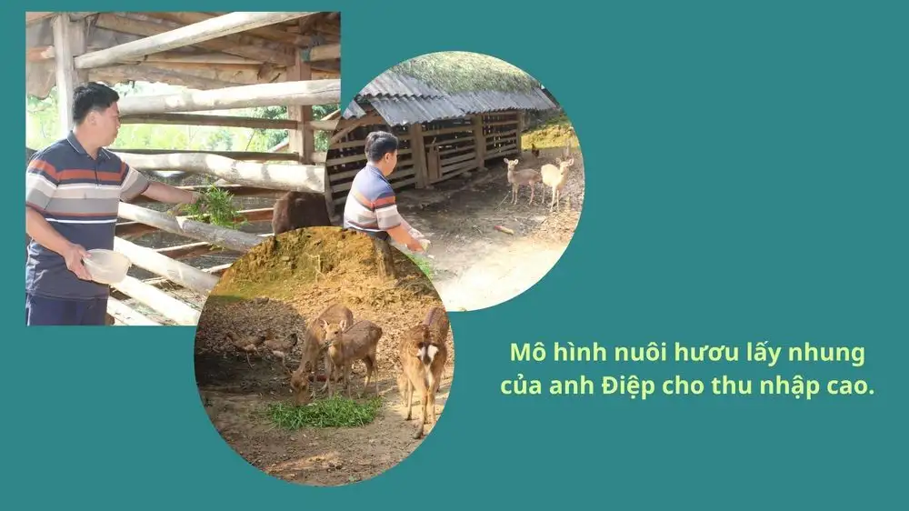 Nghĩa Đô: Khích lệ nông dân hăng hái thi đua lao động sản xuất