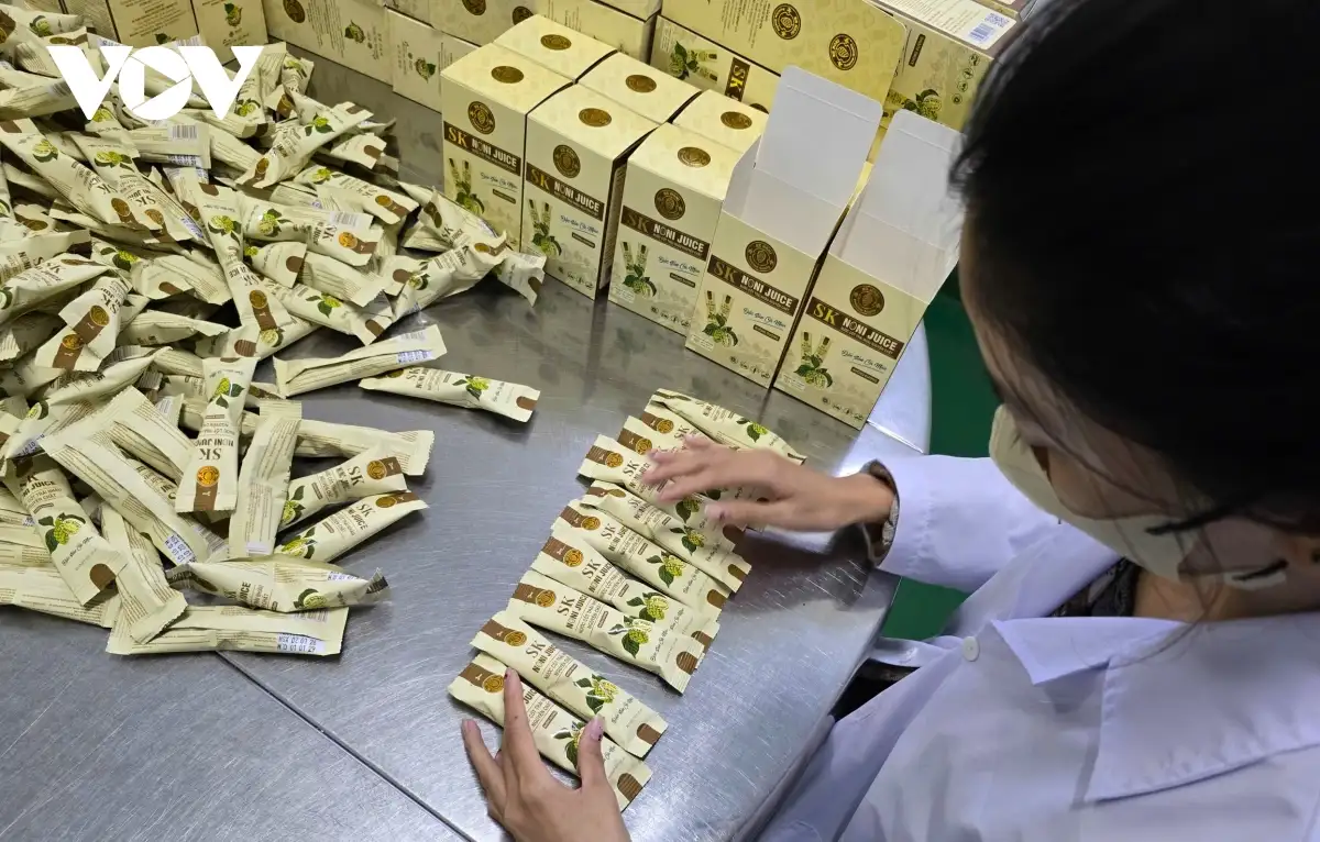 Người nâng tầm “cây dại” U Minh Hạ thành sản phẩm “4 sao”