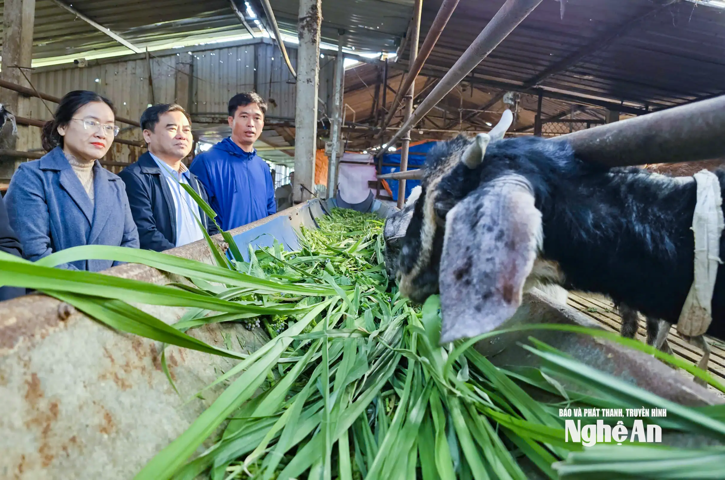 Nhiều đặc sản Nghệ An đắt hàng cận Tết