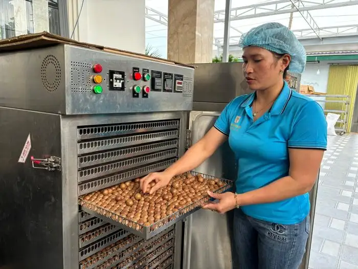 Nông dân đưa nông sản tết lên sàn thương mại điện tử