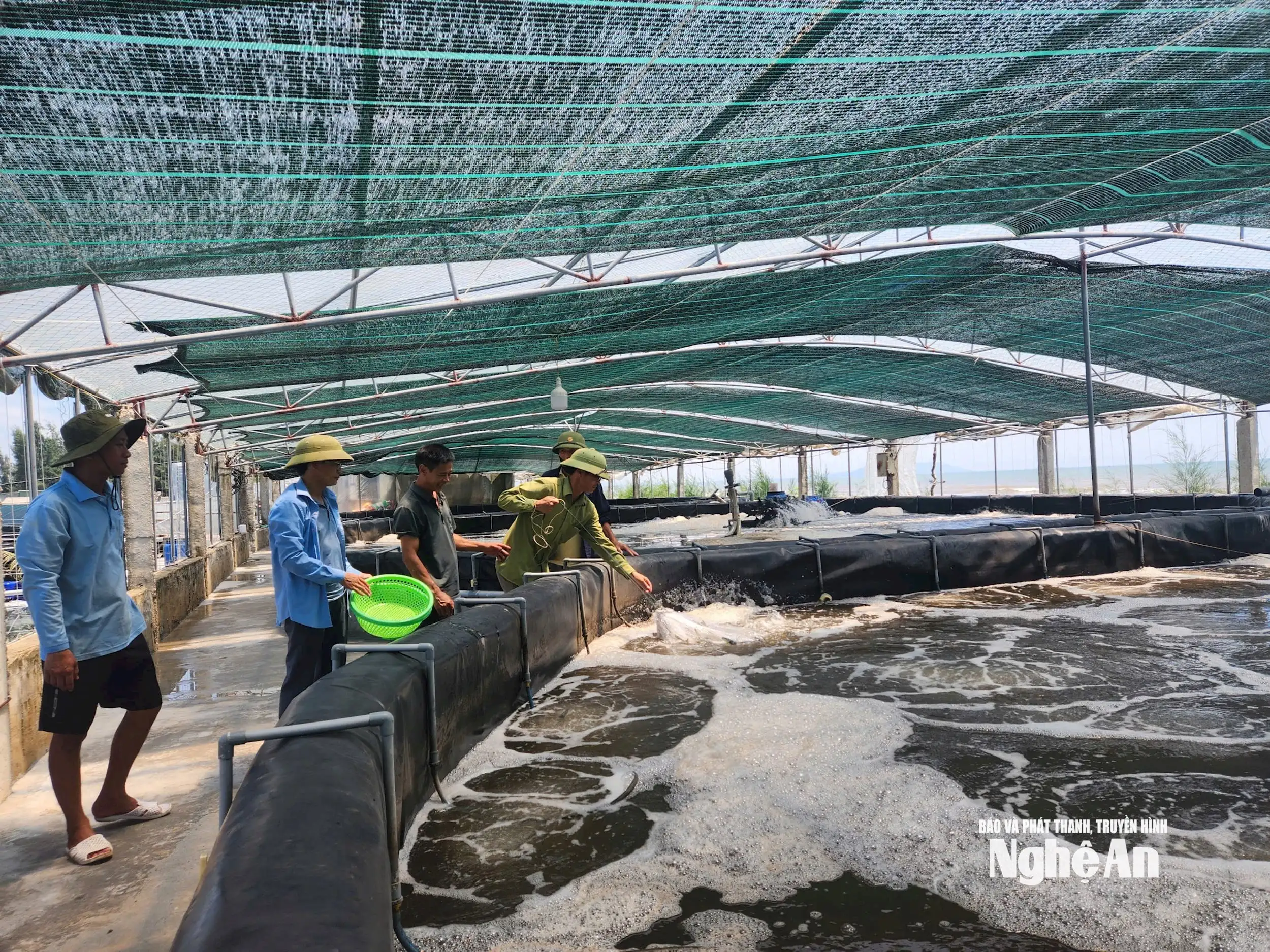 Nông dân Nghệ An nâng tầm giá trị nông sản nhờ ứng dụng công nghệ cao