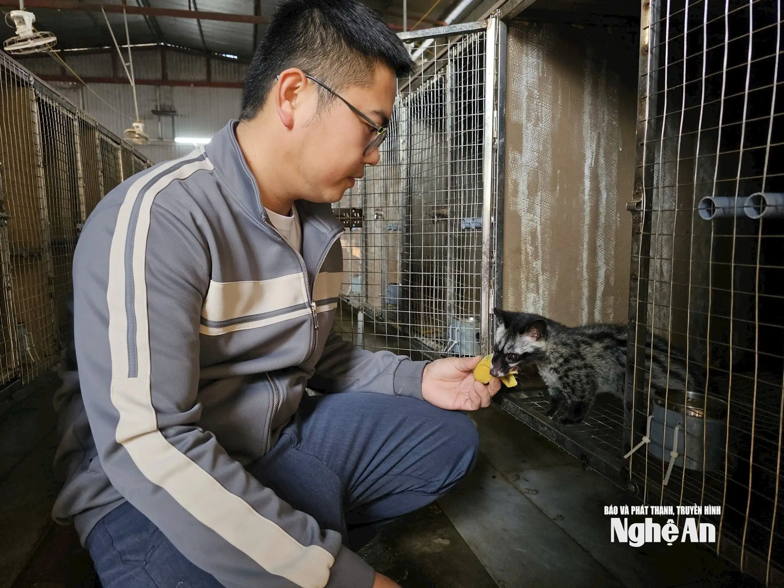 Nông dân Nghệ An thi đua sản xuất gắn với chuyển đổi kinh tế