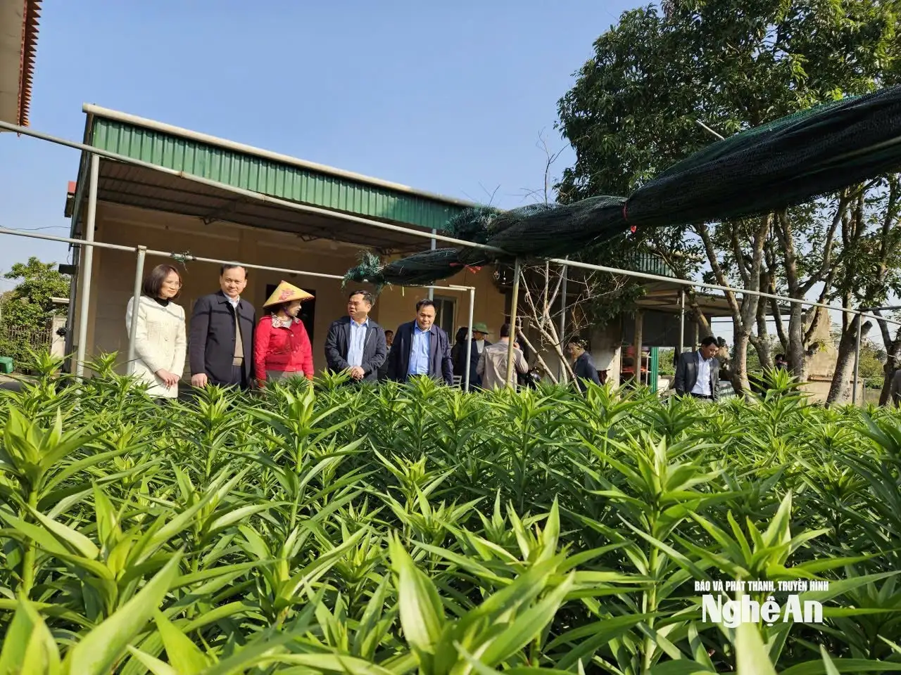 Nông dân Nghệ An thi đua sản xuất gắn với chuyển đổi kinh tế