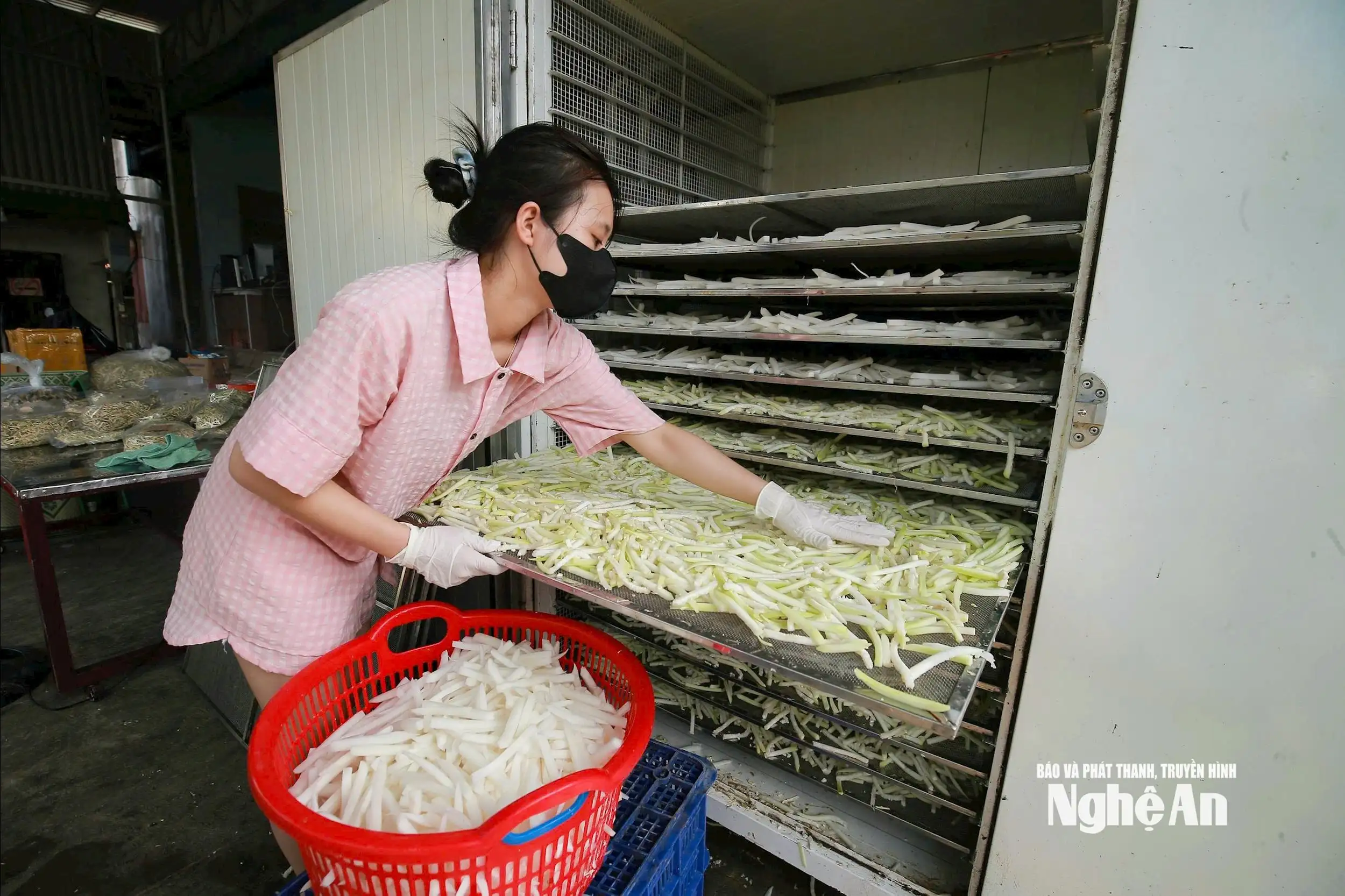 Nông dân Nghệ An thi đua sản xuất gắn với chuyển đổi kinh tế