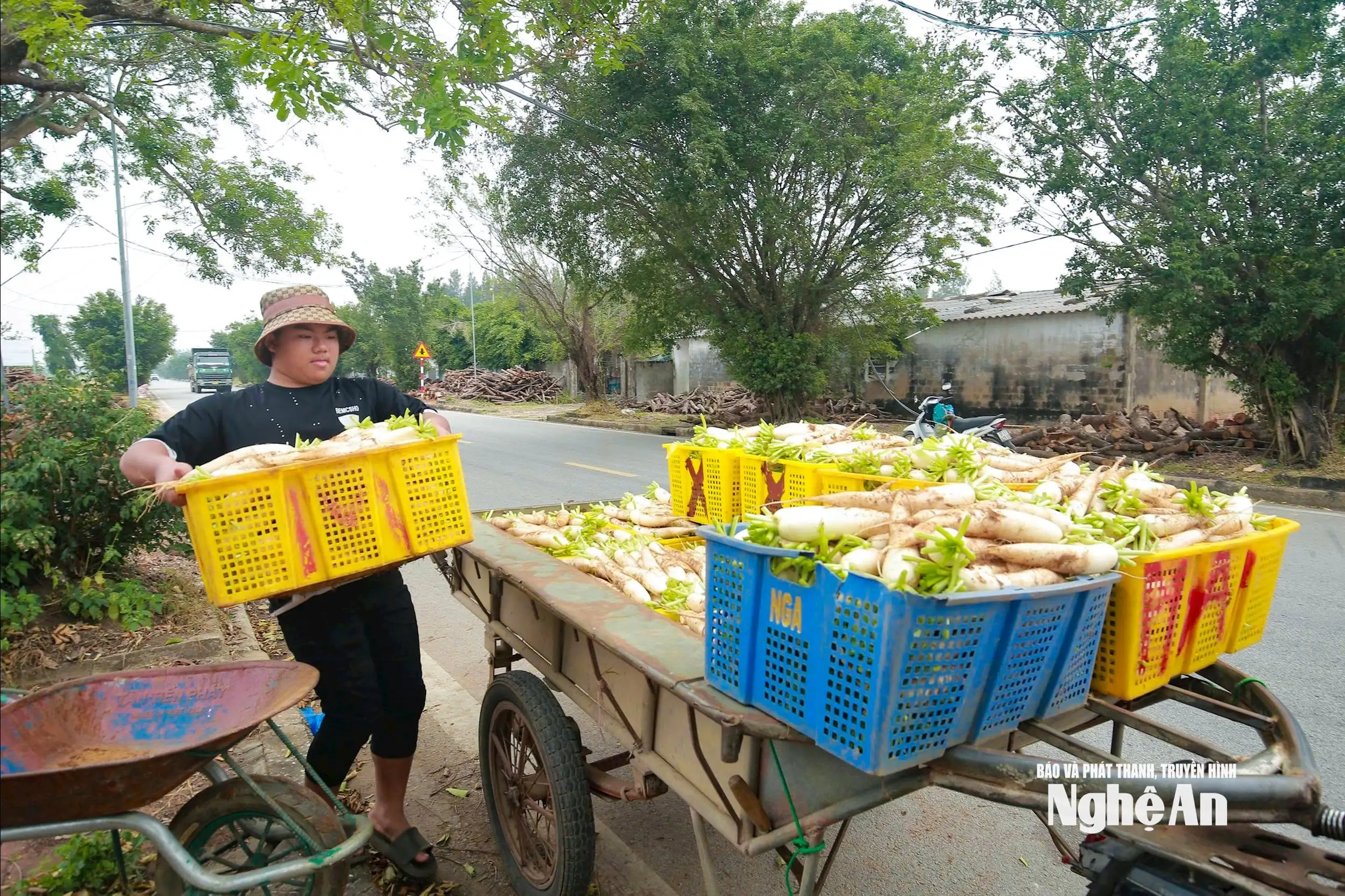 Nông dân Nghệ An thi đua sản xuất gắn với chuyển đổi kinh tế