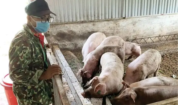 Nông nghiệp hữu cơ, tuần hoàn tạo sinh kế bền vững