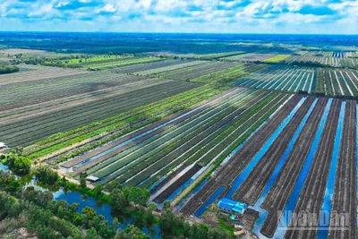 Nông nghiệp sinh thái, nông thôn hiện đại, nông dân văn minh