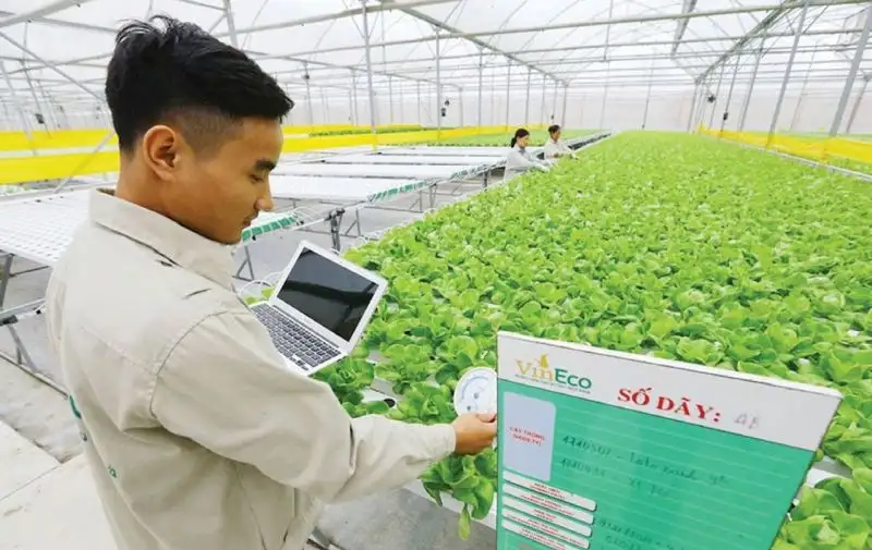 Nông nghiệp số, công nghệ cao mở ra hướng đi mới cho người nông dân