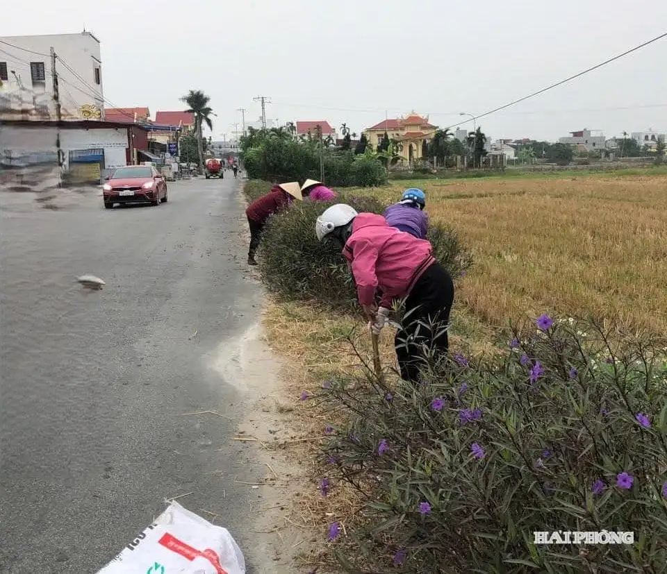 Nông thôn mới Hải Phòng: “Khoác áo mới” cho những tuyến đường quê