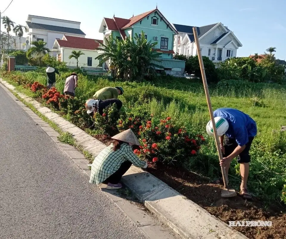Nông thôn mới Hải Phòng: “Khoác áo mới” cho những tuyến đường quê