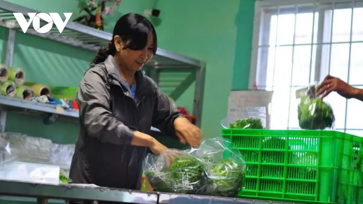 Nông thôn mới tạo bước tiến lớn cho vùng trọng điểm nông nghiệp Đơn Dương