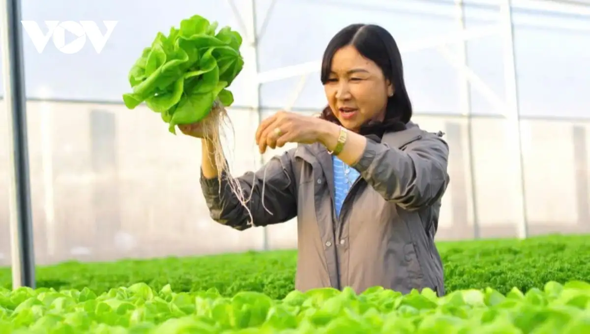 Nông thôn mới tạo bước tiến lớn cho vùng trọng điểm nông nghiệp Đơn Dương