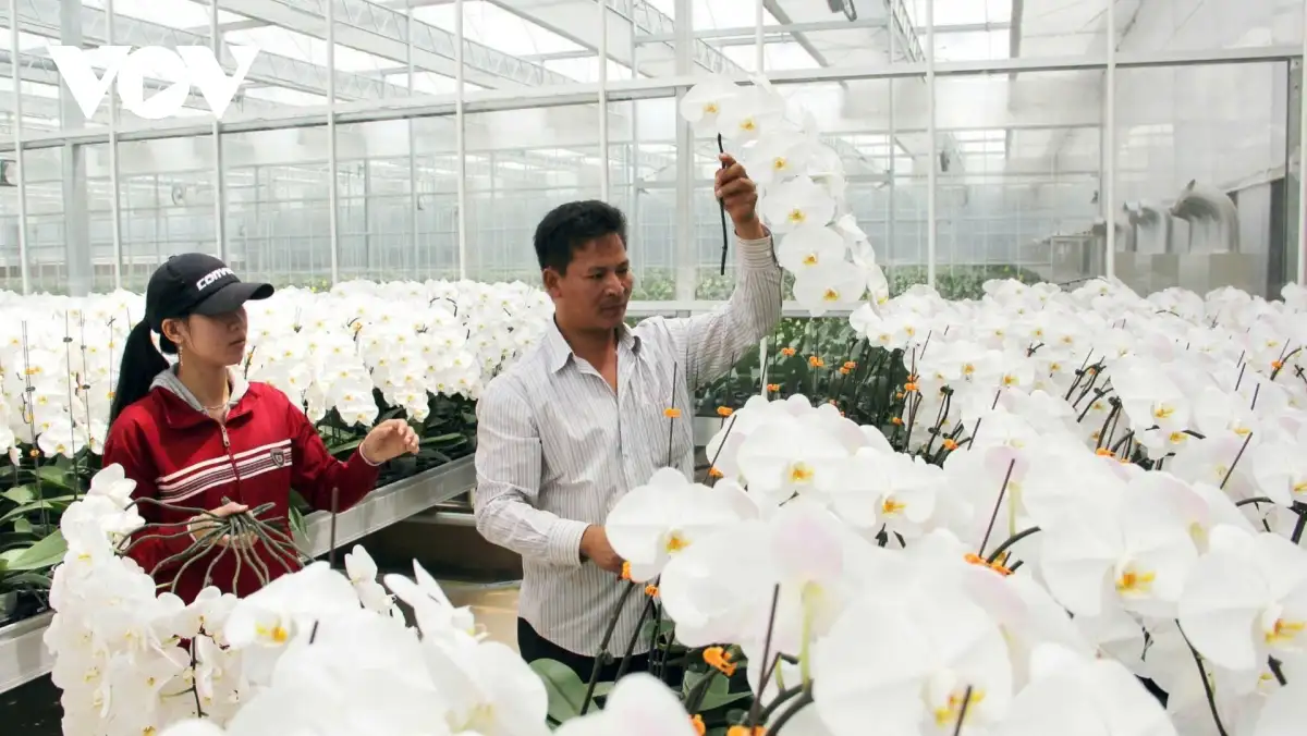 Nông thôn mới tạo bước tiến lớn cho vùng trọng điểm nông nghiệp Đơn Dương