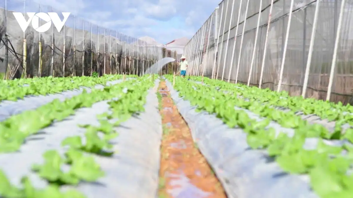 Nông thôn mới tạo bước tiến lớn cho vùng trọng điểm nông nghiệp Đơn Dương