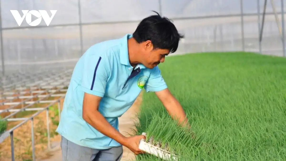 Nông thôn mới tạo bước tiến lớn cho vùng trọng điểm nông nghiệp Đơn Dương