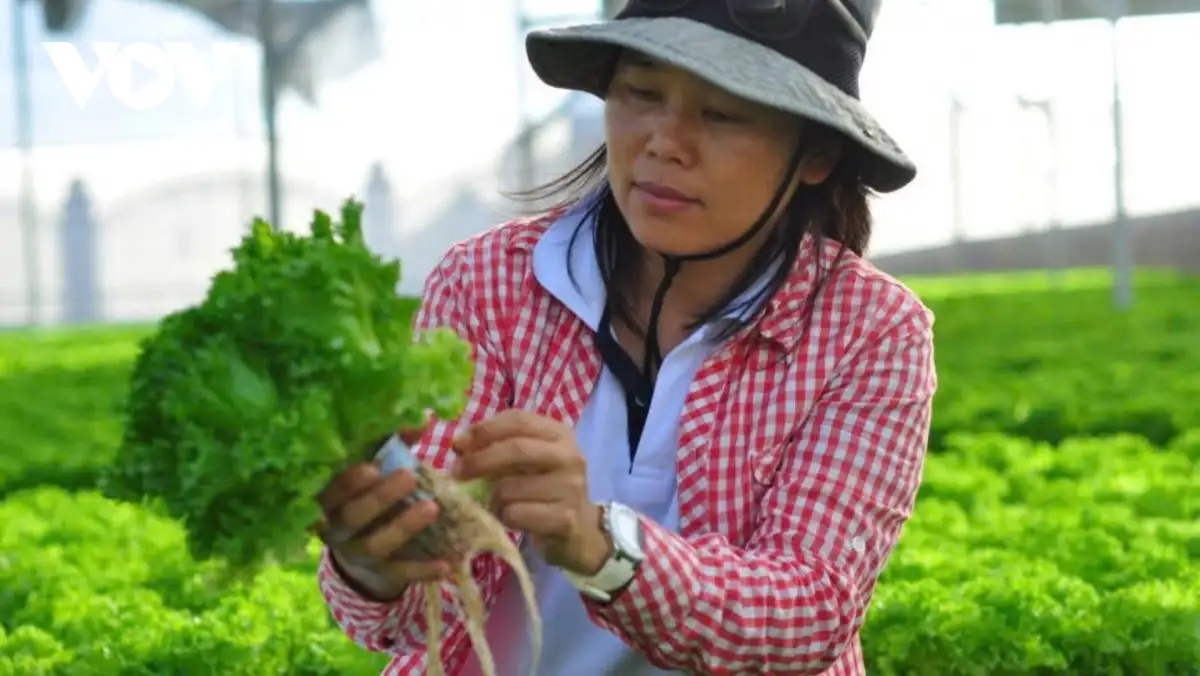 Nông thôn mới tạo bước tiến lớn cho vùng trọng điểm nông nghiệp Đơn Dương