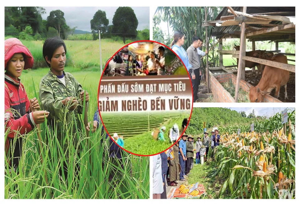 Nông thôn mới – thành quả của lòng dân, ý Đảng và dấu ấn của ngành Nông nghiệp và Môi trường trong nhiệm kỳ 2020-2025