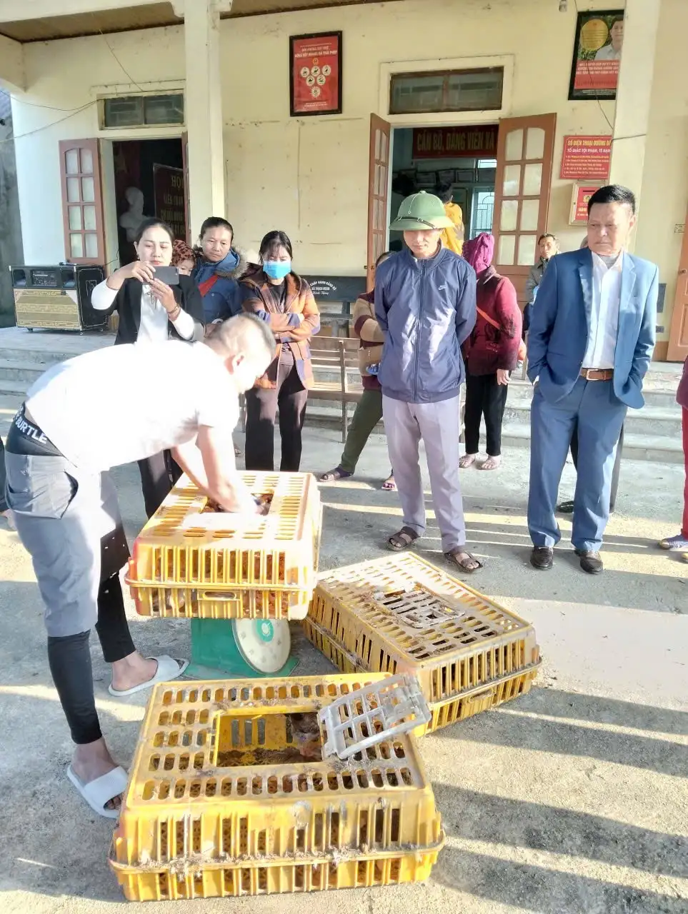 CẤP PHÁT CON GIỐNG GÀ ĐỊA PHƯƠNG VÀ THỨC ĂN TẠI XÃ MẬU THẠCH