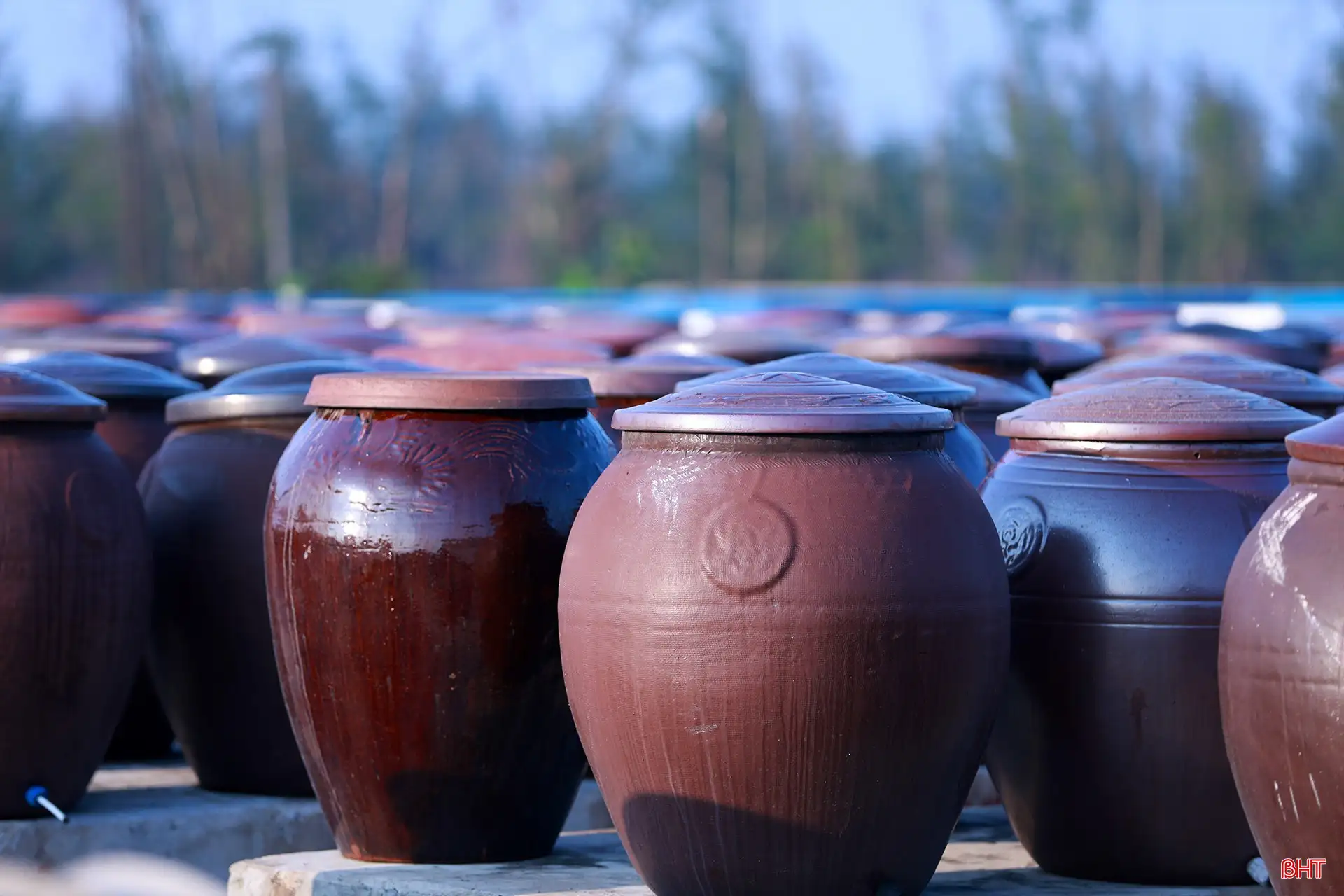 Nước mắm Hà Tĩnh – từ chum sành lên sàn số