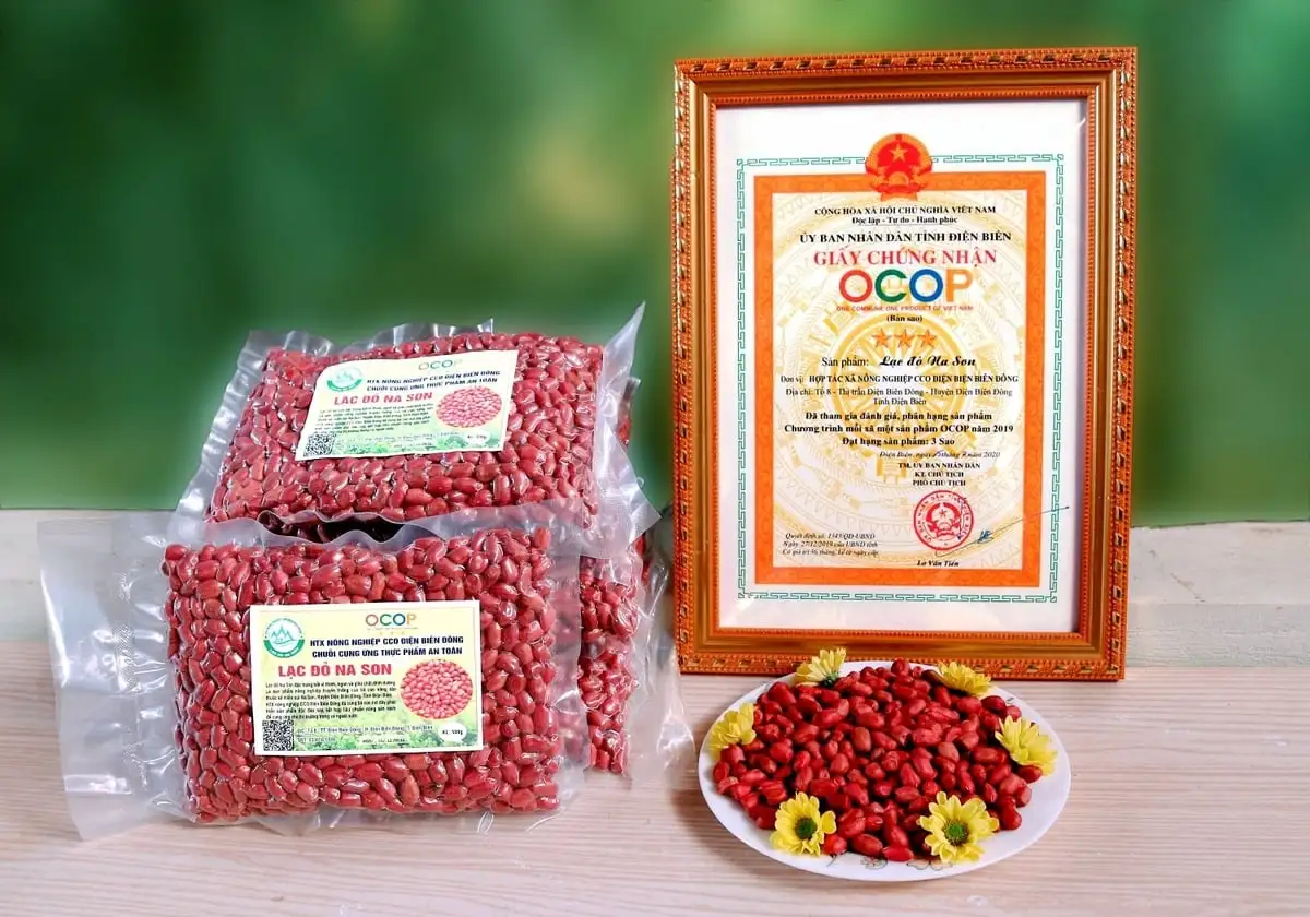 OCOP Điện Biên tìm đường nâng giá trị nông sản vùng cao