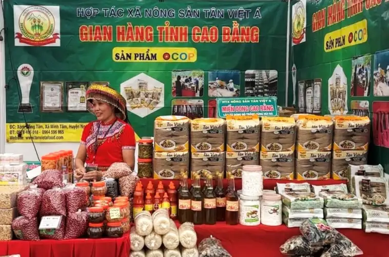 OCOP – động lực xây dựng thương hiệu, nông thôn mới ở Cao Bằng