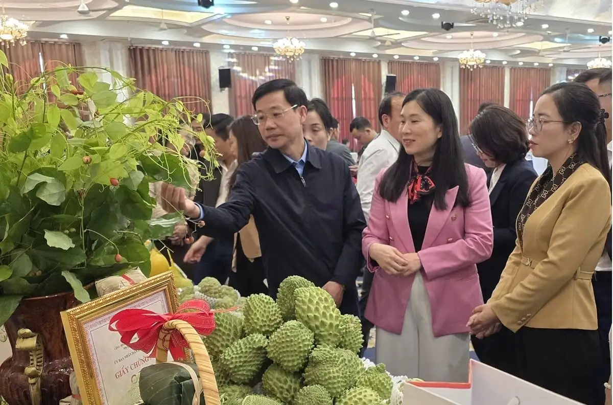 OCOP tạo giá trị bền vững cho nông sản Lạng Sơn