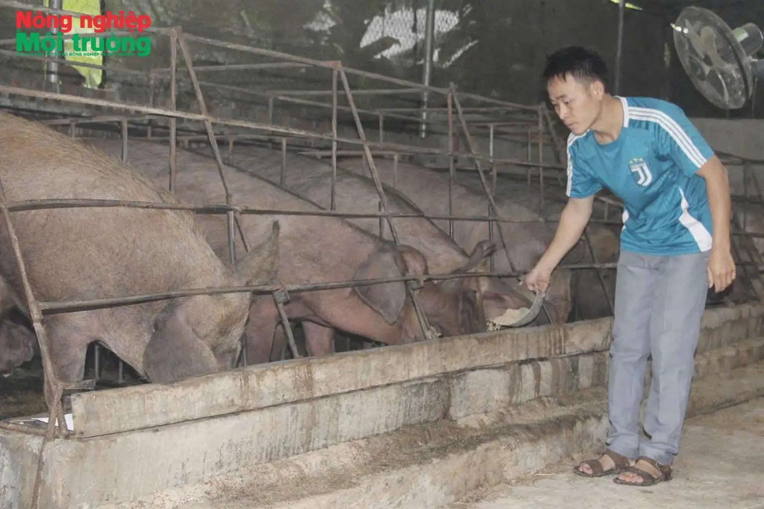 Phát huy vai trò Hội Nông dân trong tái cơ cấu nông nghiệp ở Bắc Yên