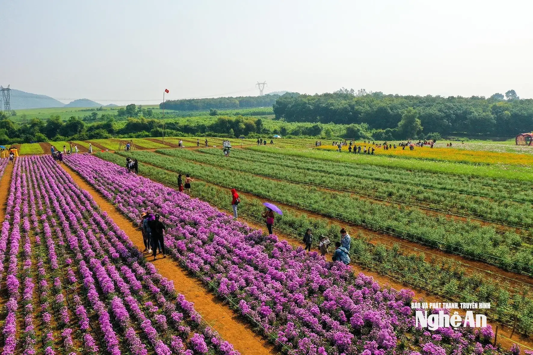 Phát triển chuỗi giá trị nông sản đặc thù gắn với du lịch nông nghiệp bền vững ở miền Tây Nghệ An