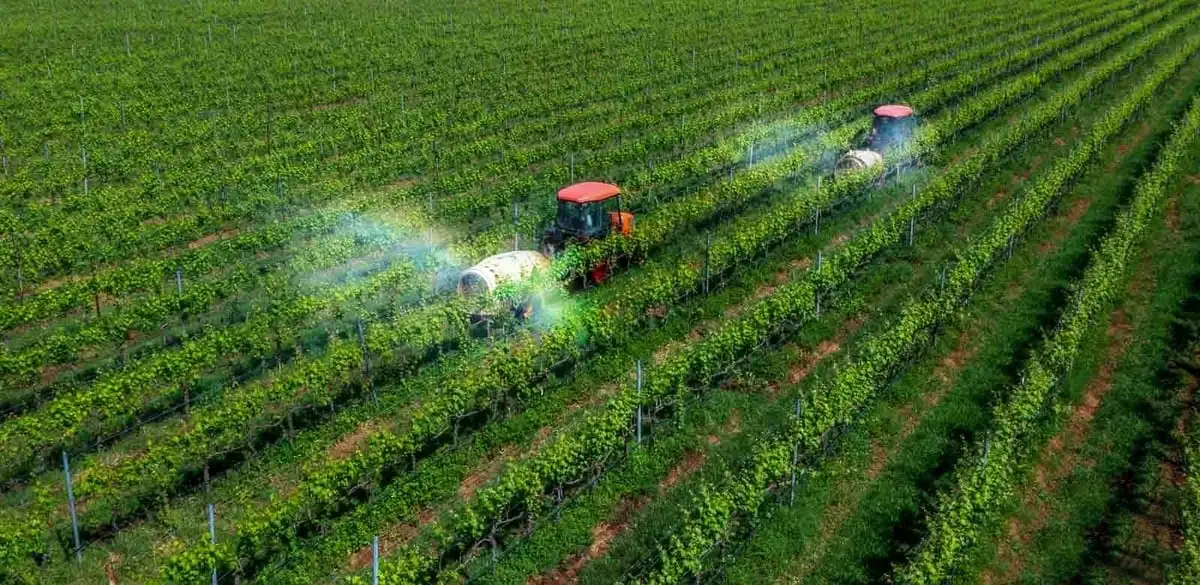 Phát triển nông nghiệp, bảo vệ môi trường thích ứng với biến đổi khí hậu