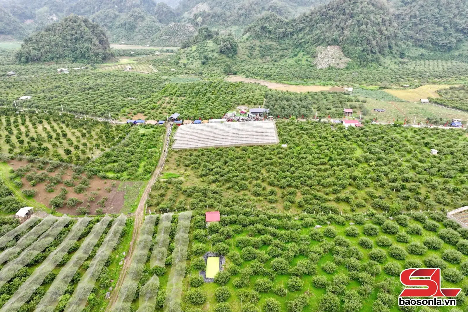 Phát triển nông nghiệp xanh gắn với du lịch sinh thái