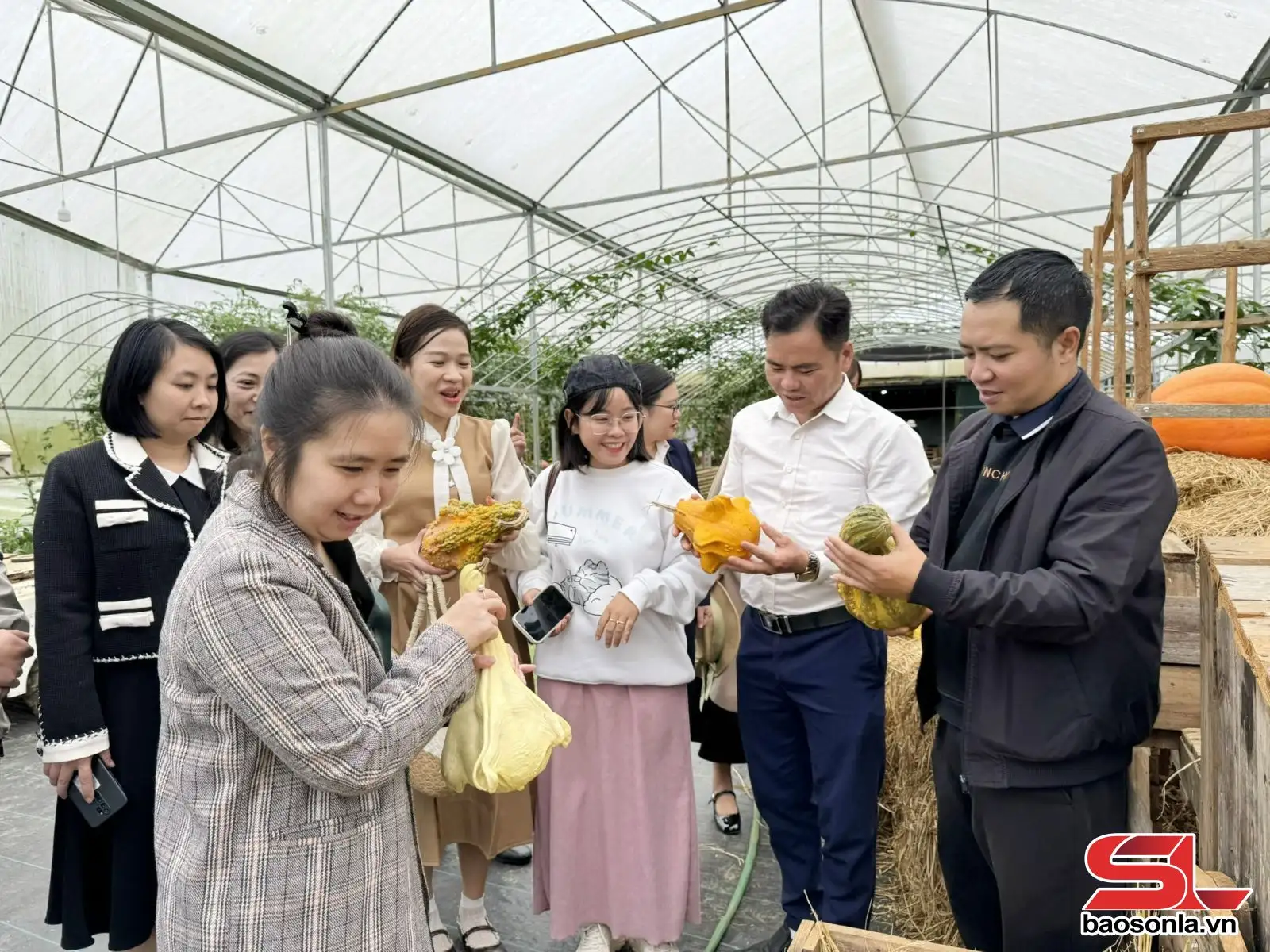 Phát triển nông nghiệp xanh gắn với du lịch sinh thái